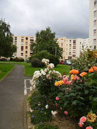 wp9214110b.jpg