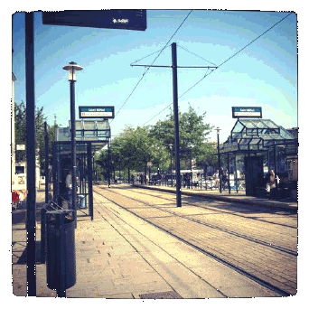 wp9e0cde10.gif